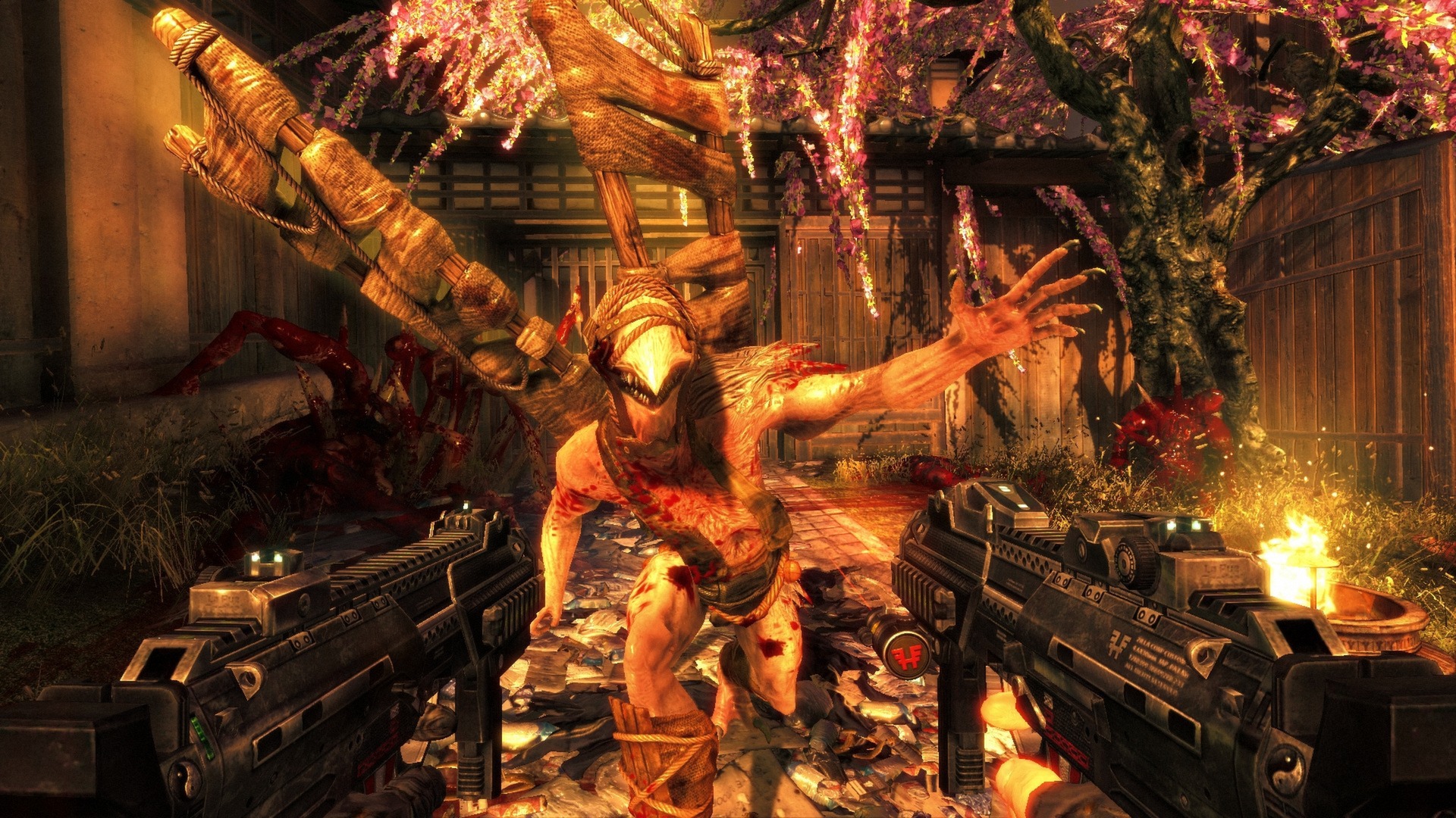 影子武士/Shadow Warrior 截图 3