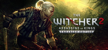 巫师2：刺客之王/The Witcher 2: Assassins of Kings 封面