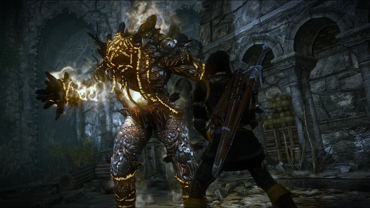 巫师2：刺客之王/The Witcher 2: Assassins of Kings 截图 5