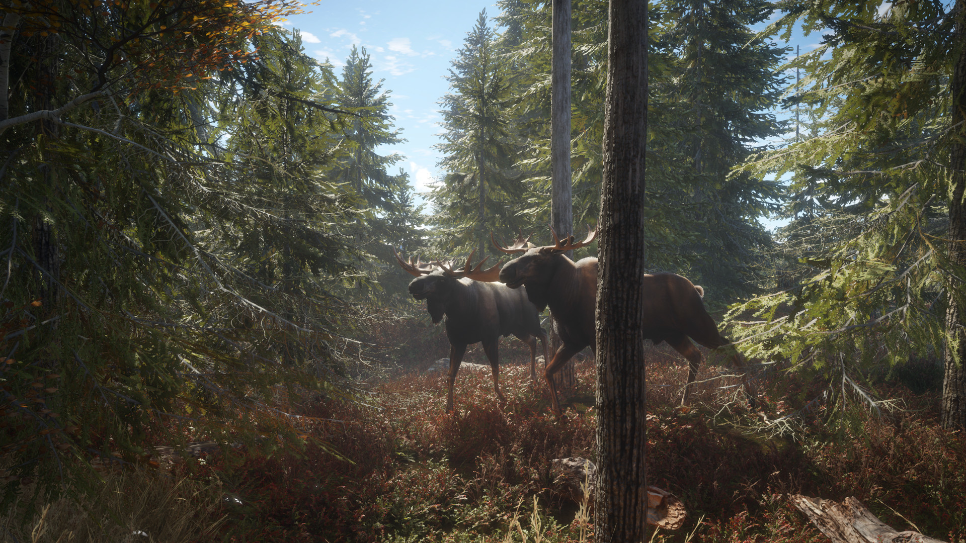 猎人：荒野的召唤/theHunter: Call of the Wild 截图 1