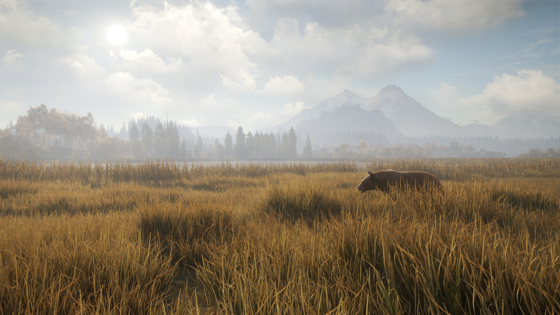 猎人：荒野的召唤/theHunter: Call of the Wild 截图 2