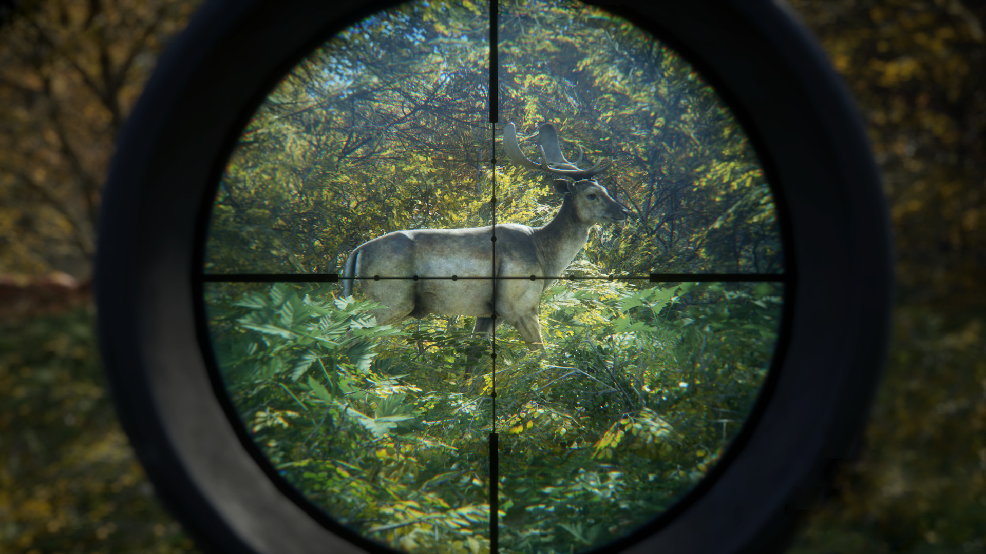猎人：荒野的召唤/theHunter: Call of the Wild 截图 3