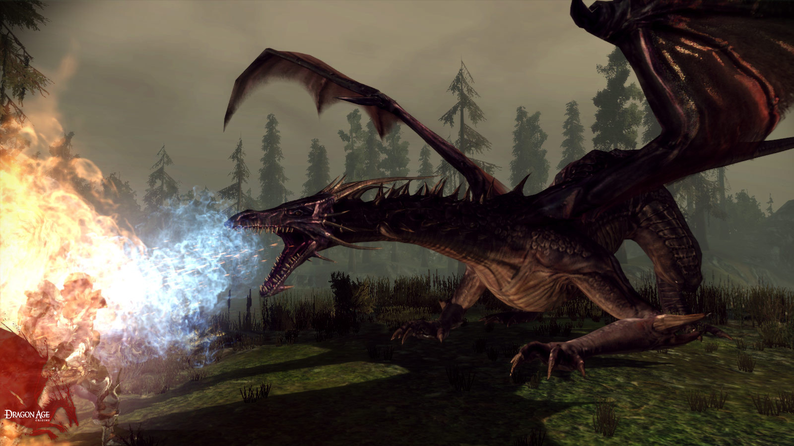龙腾世纪：起源/Dragon Age: Origins 截图 3