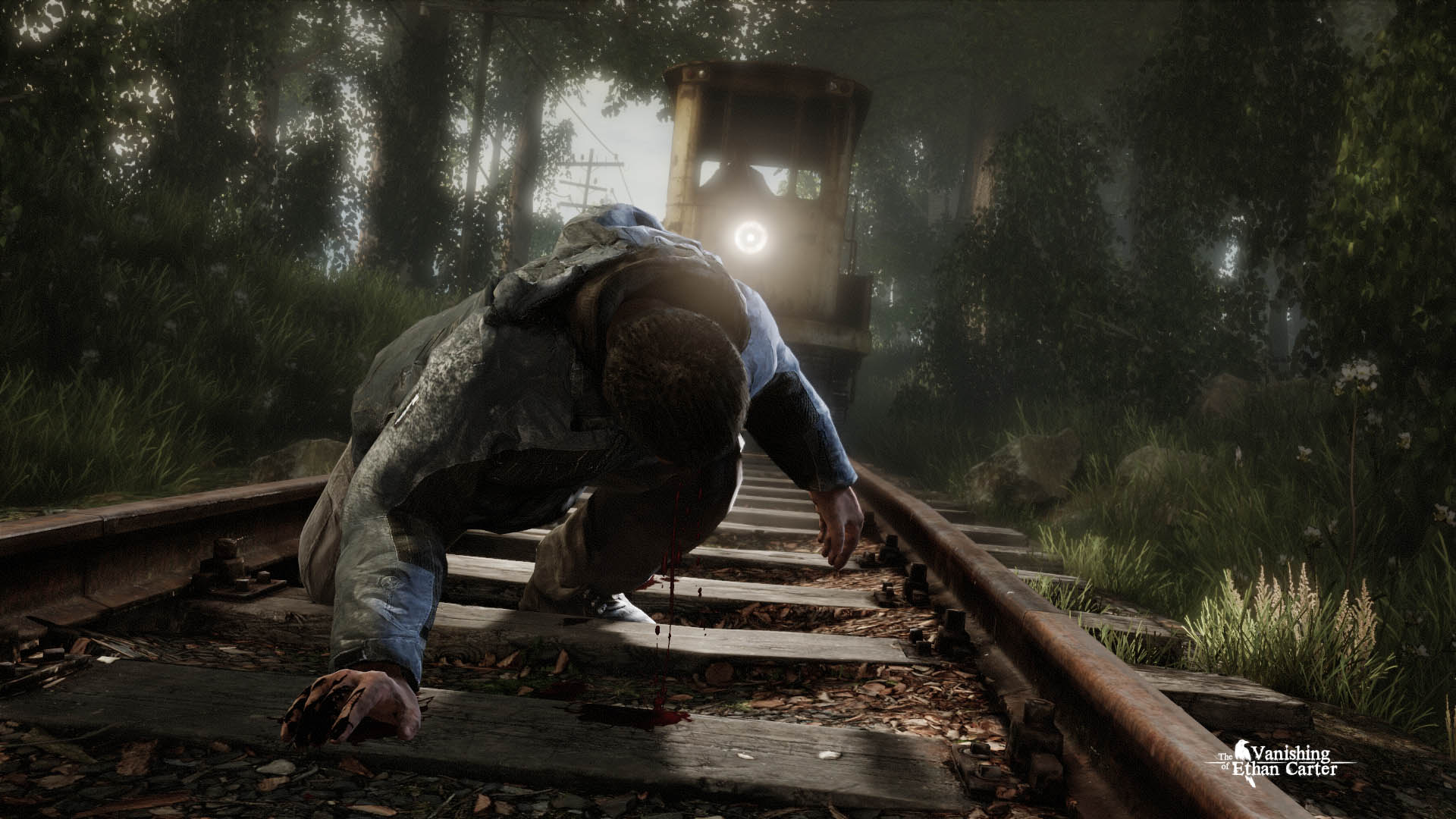 伊森卡特的消失/The Vanishing of Ethan Carter 截图 1