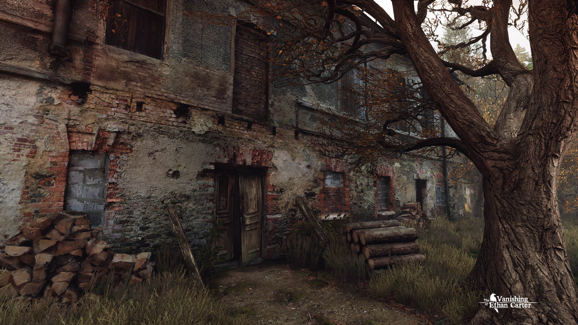 伊森卡特的消失/The Vanishing of Ethan Carter 截图 2