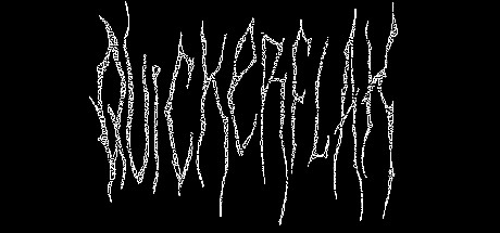 快闪/QUICKERFLAK 封面