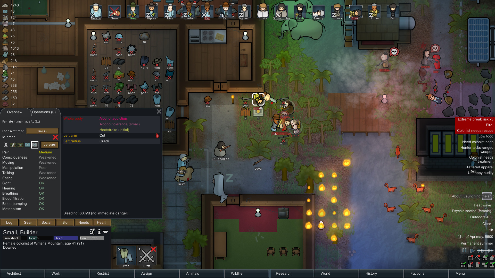 环世界/边缘世界/RimWorld 截图 1