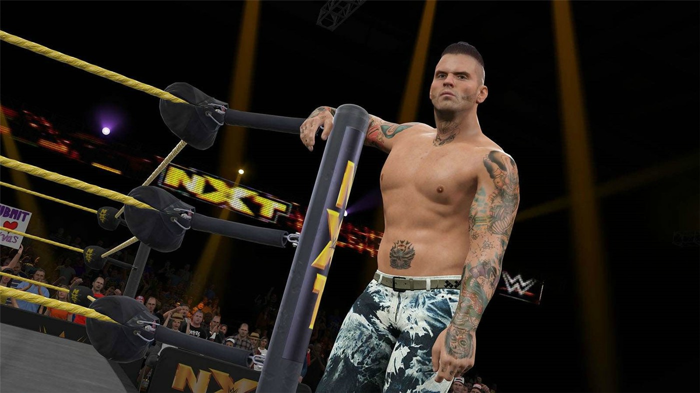 WWE 2K15/美国职业摔角联盟2K15 截图 2