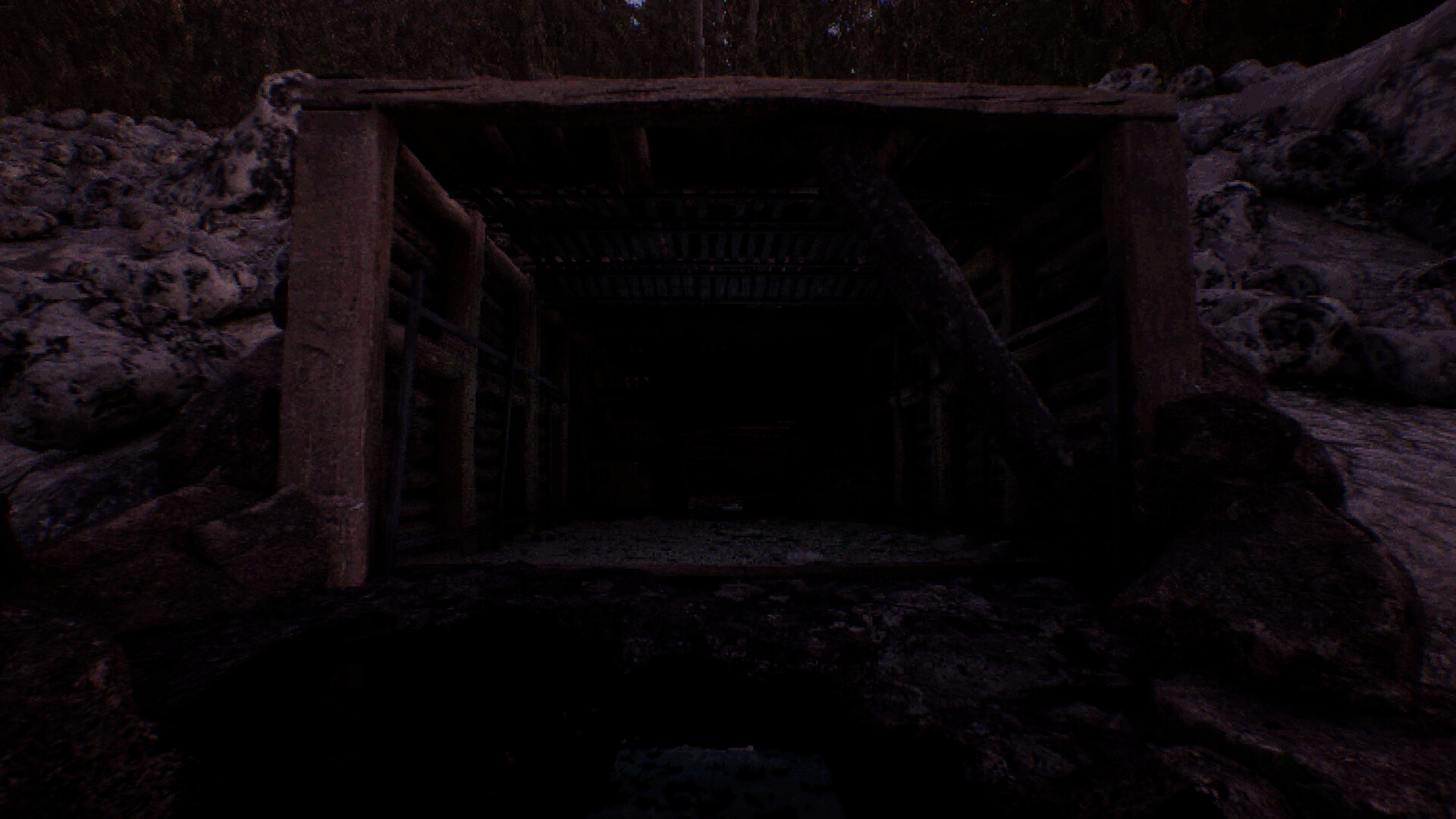 凝视之林：虱子/The Watching Woods: The Louse 截图 4
