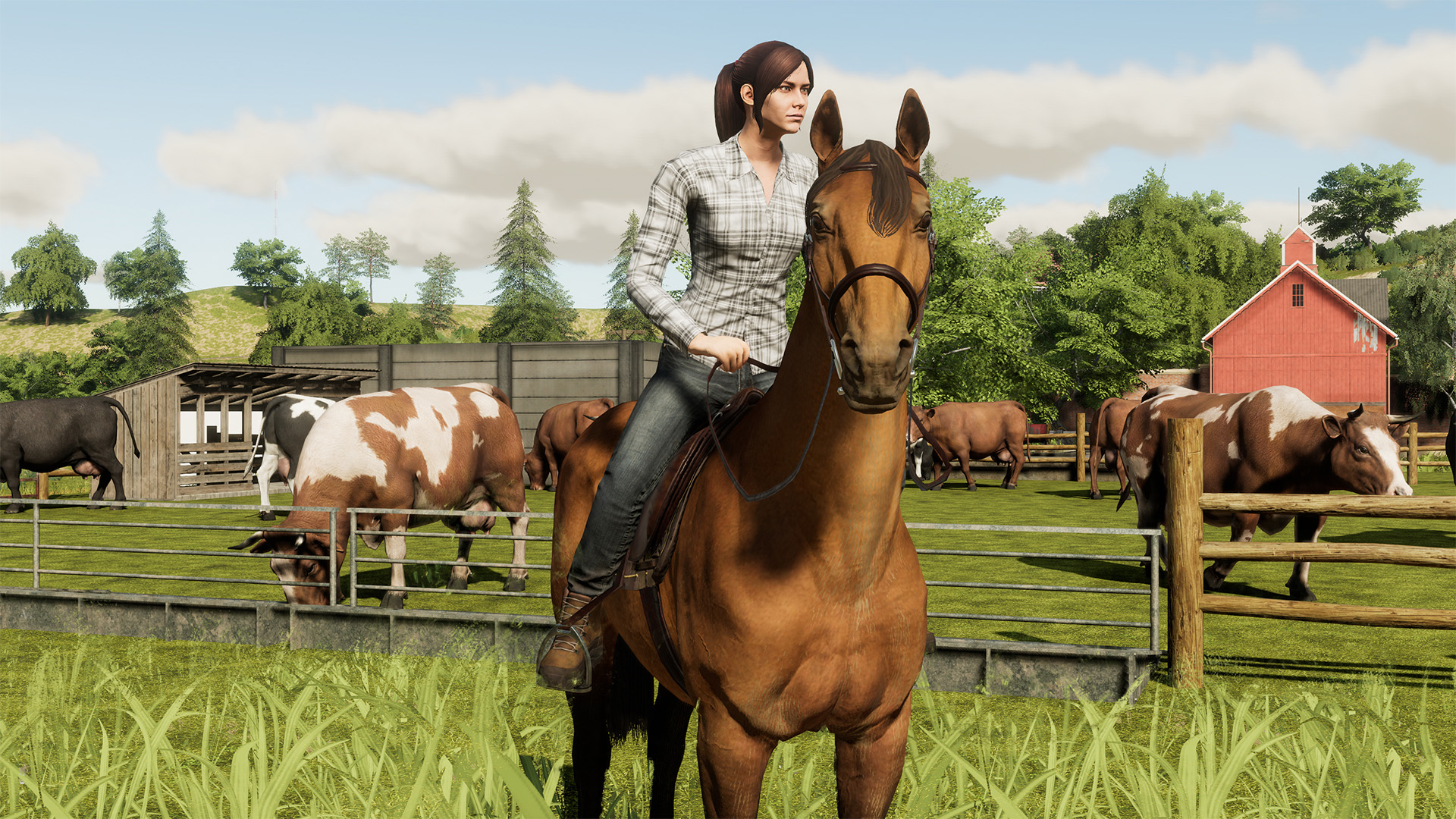 模拟农场19 Farming Simulator 19 截图 3