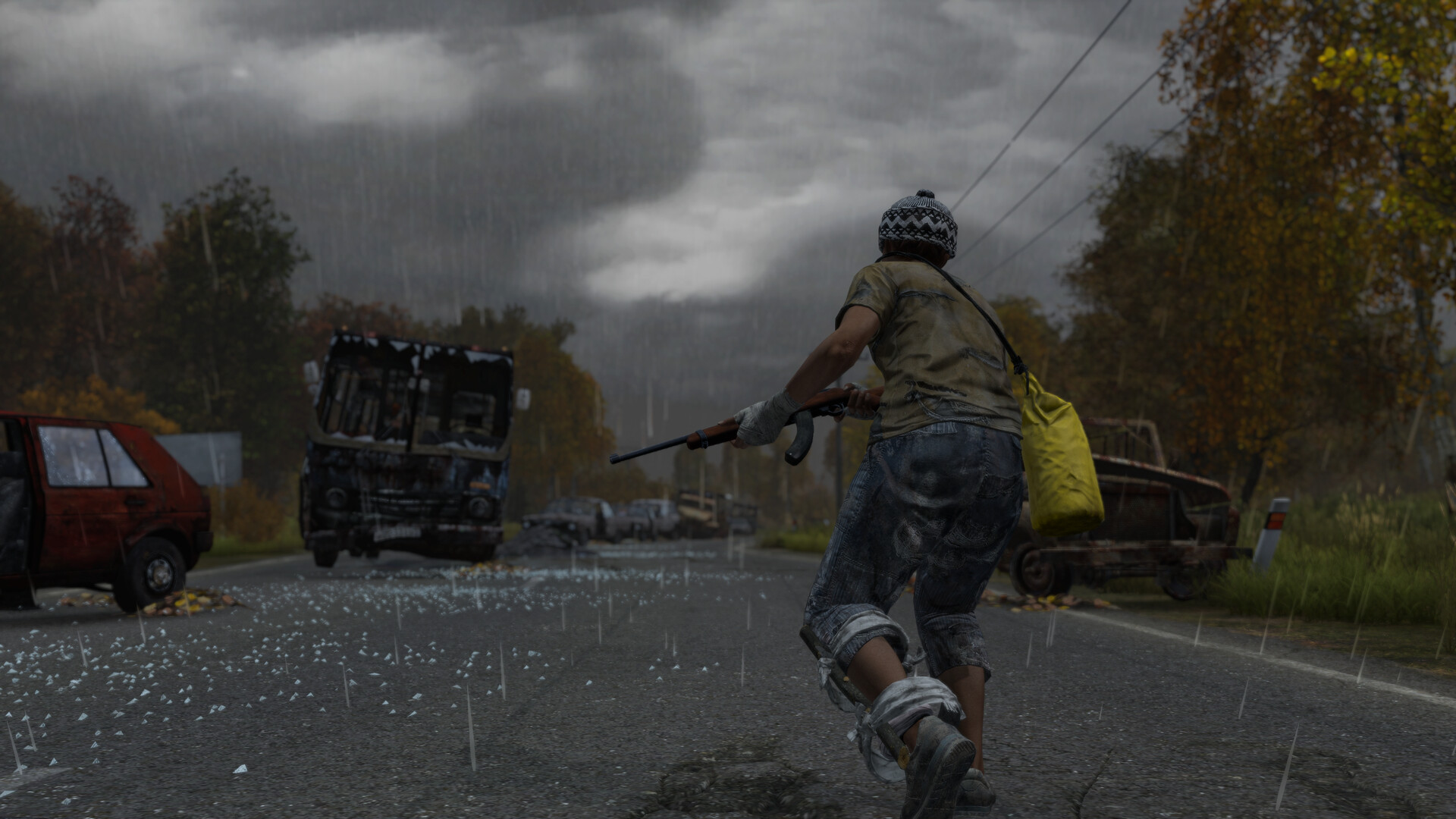 DayZ 截图 1