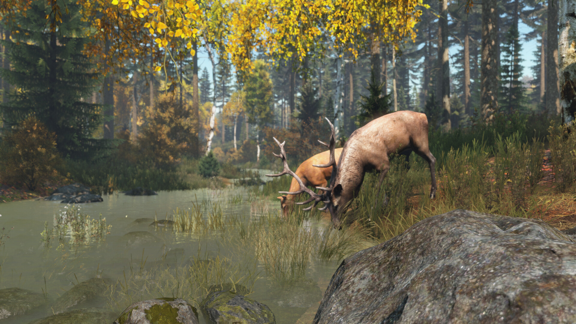 DayZ 截图 6