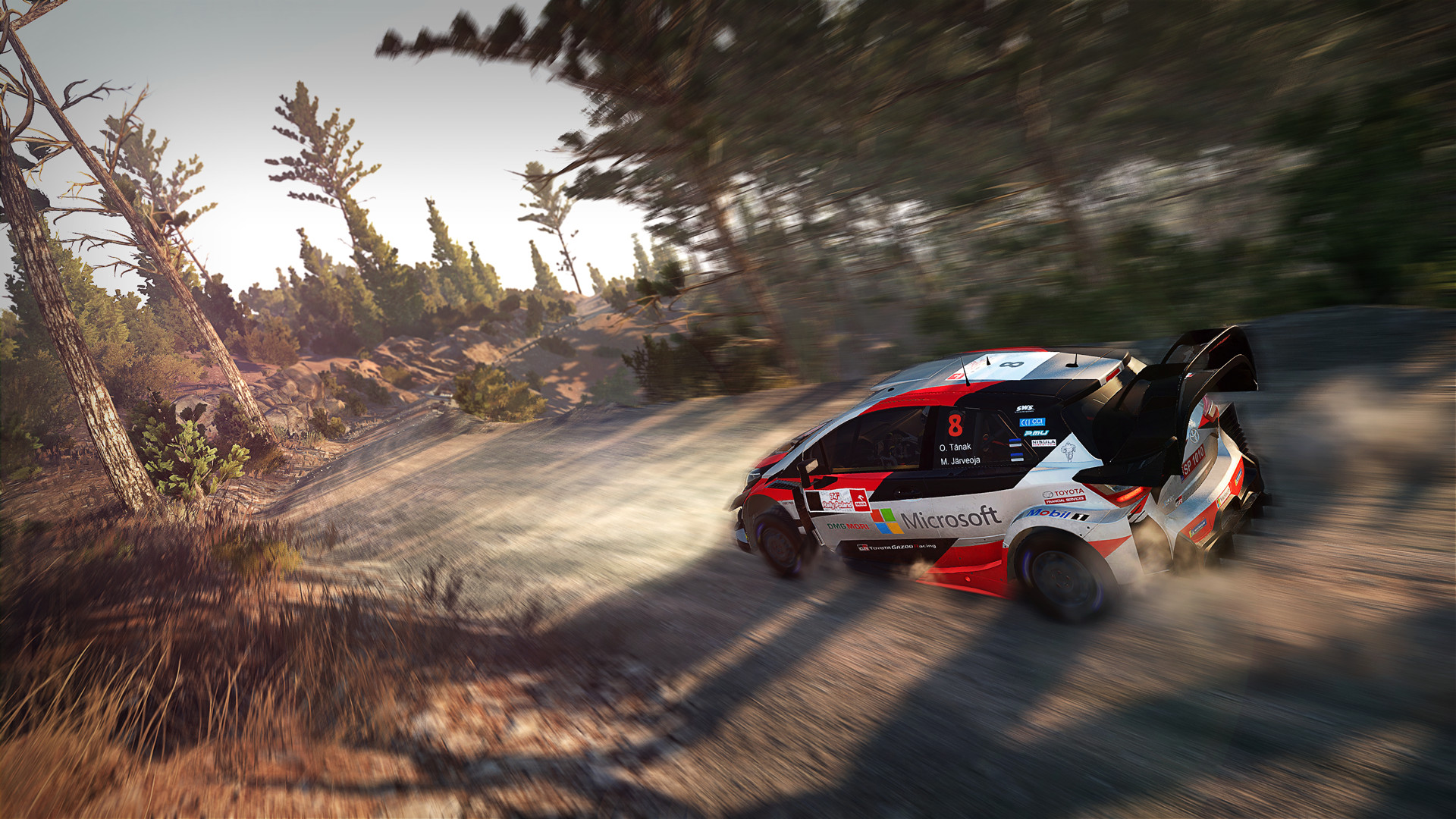 世界汽车拉力锦标赛8/WRC 8 FIA World Rally Championship 截图 3