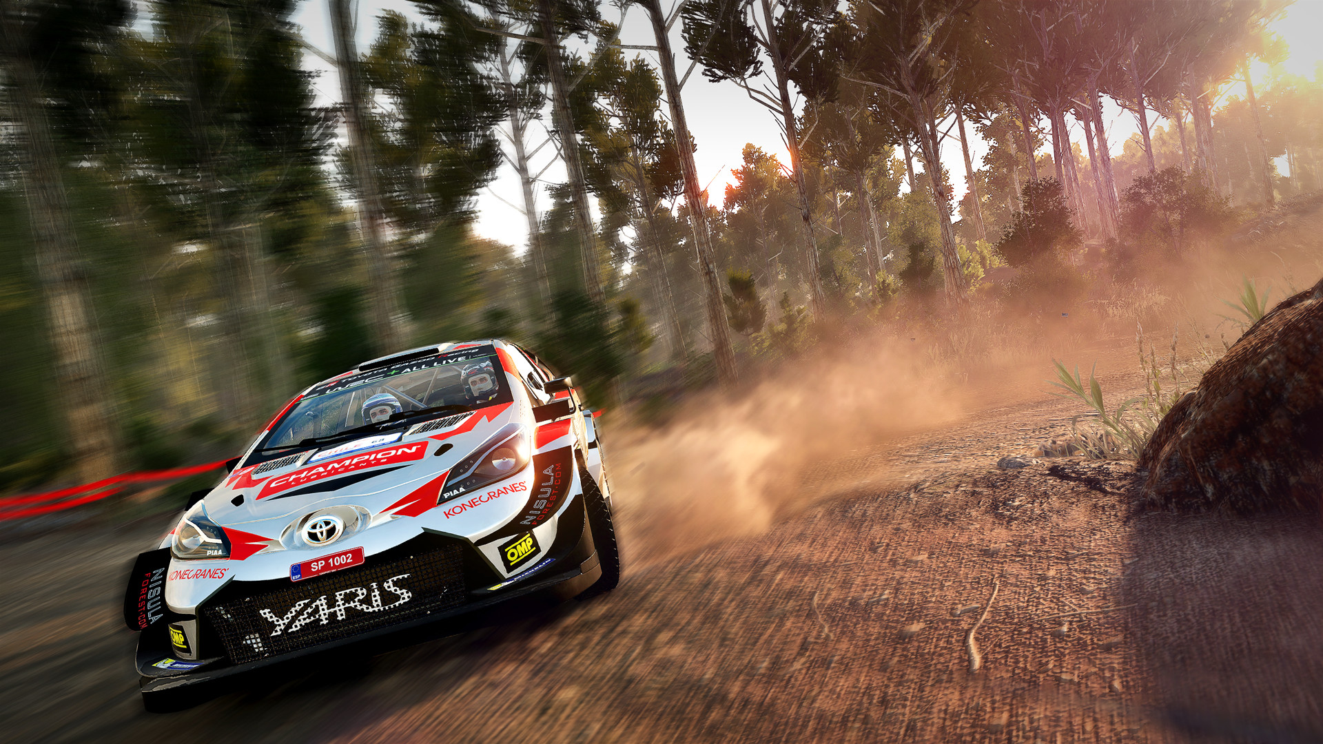 世界汽车拉力锦标赛8/WRC 8 FIA World Rally Championship 截图 10
