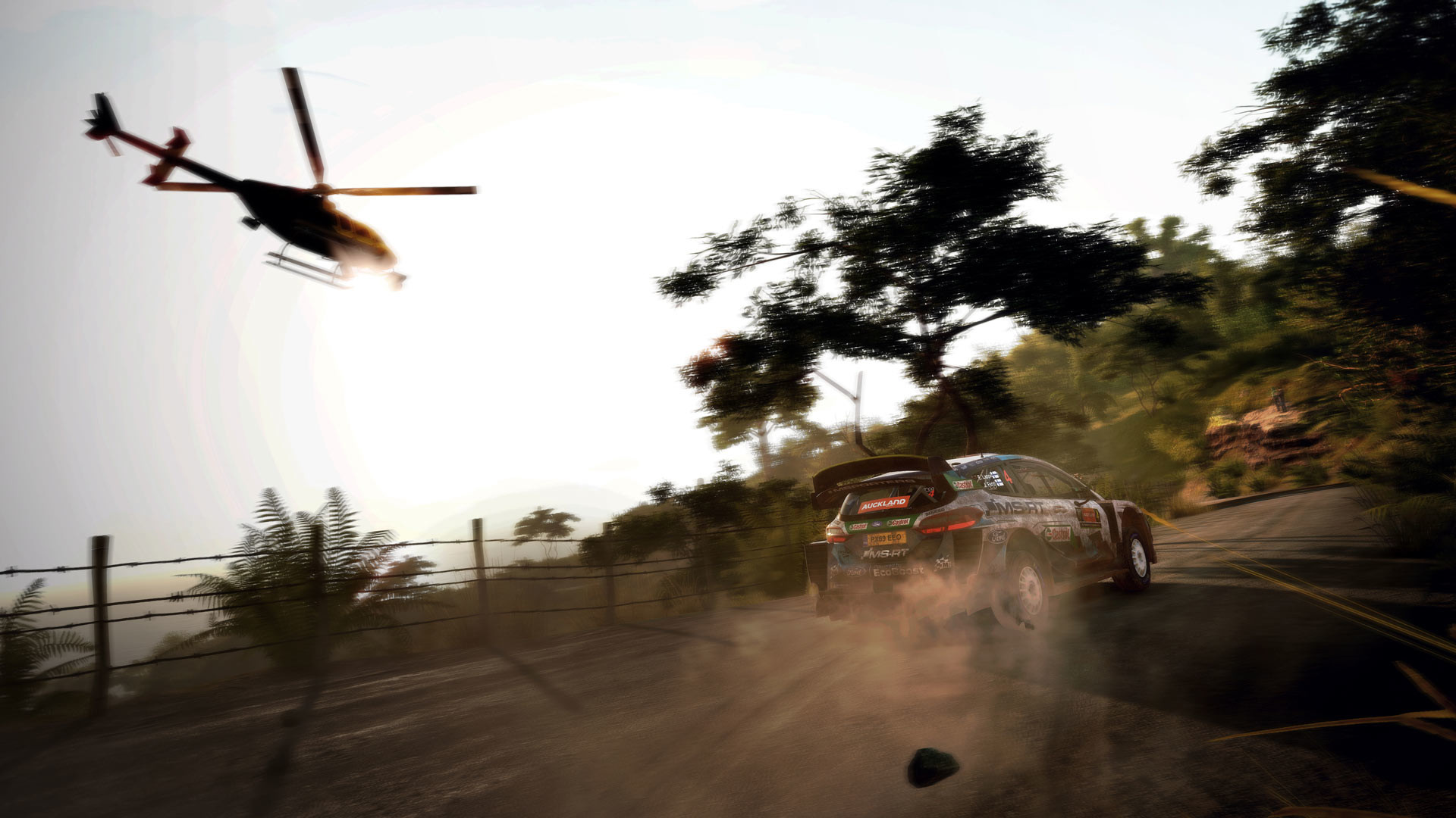 世界汽车拉力锦标赛9 / WRC 9 截图 2