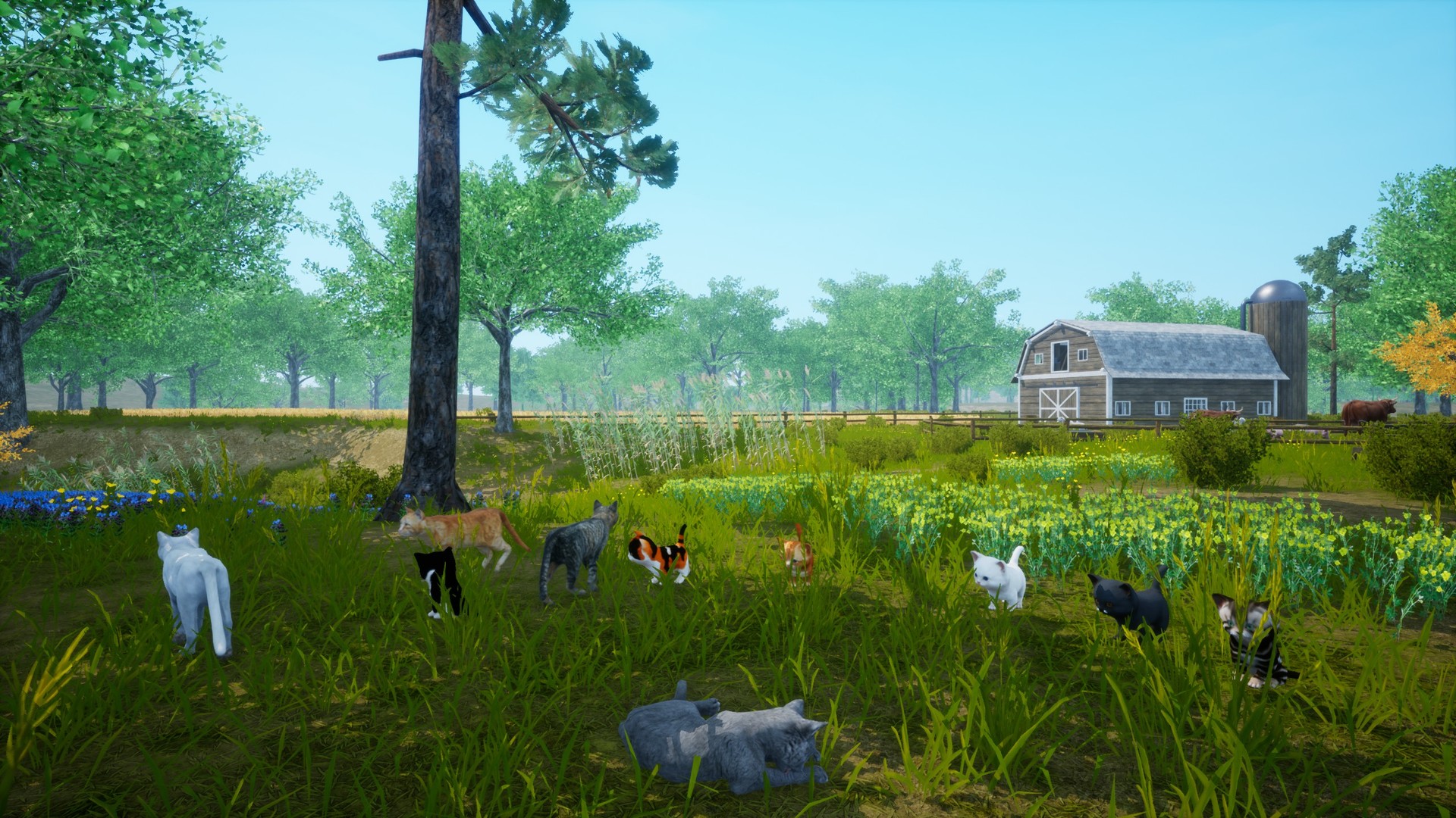 猫模拟器/Cat Simulator 截图 5