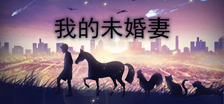 我的未婚妻 封面