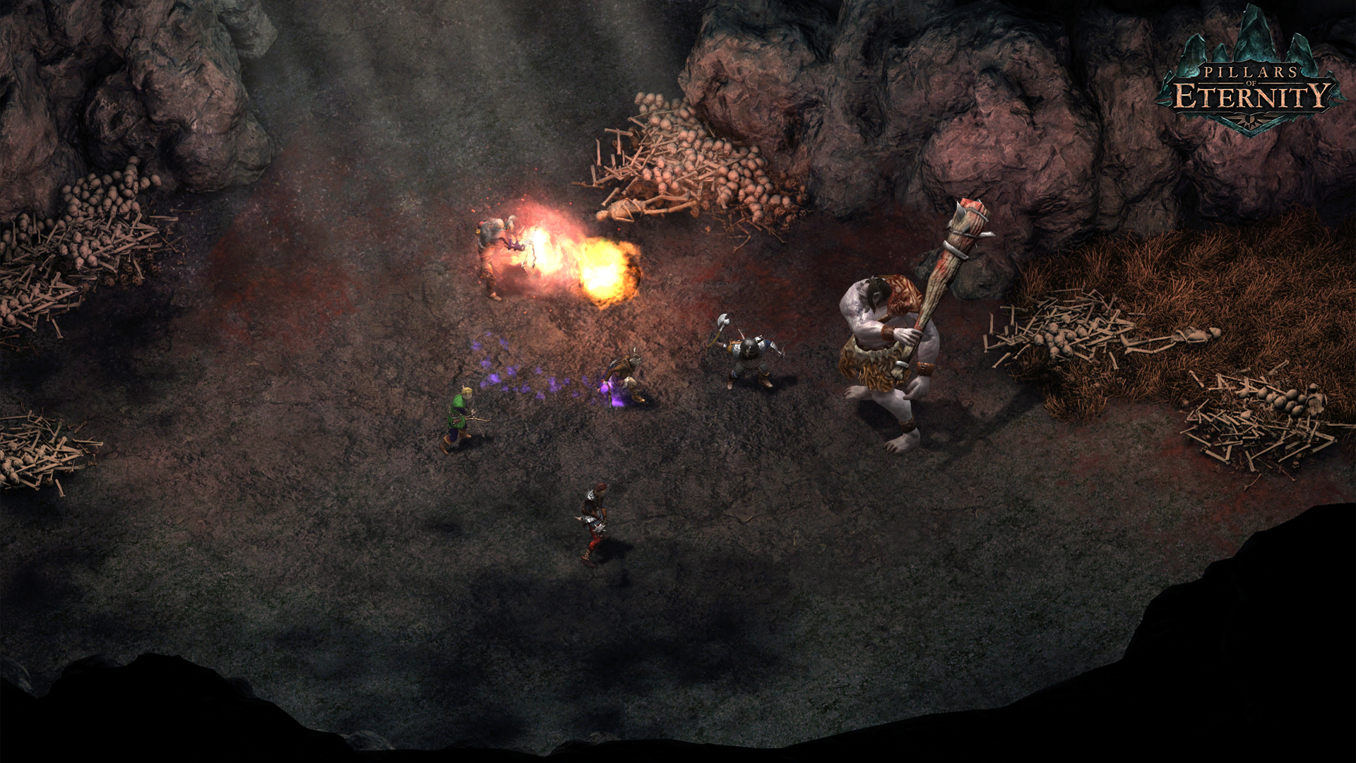 永恒之柱/Pillars of Eternity 截图 6