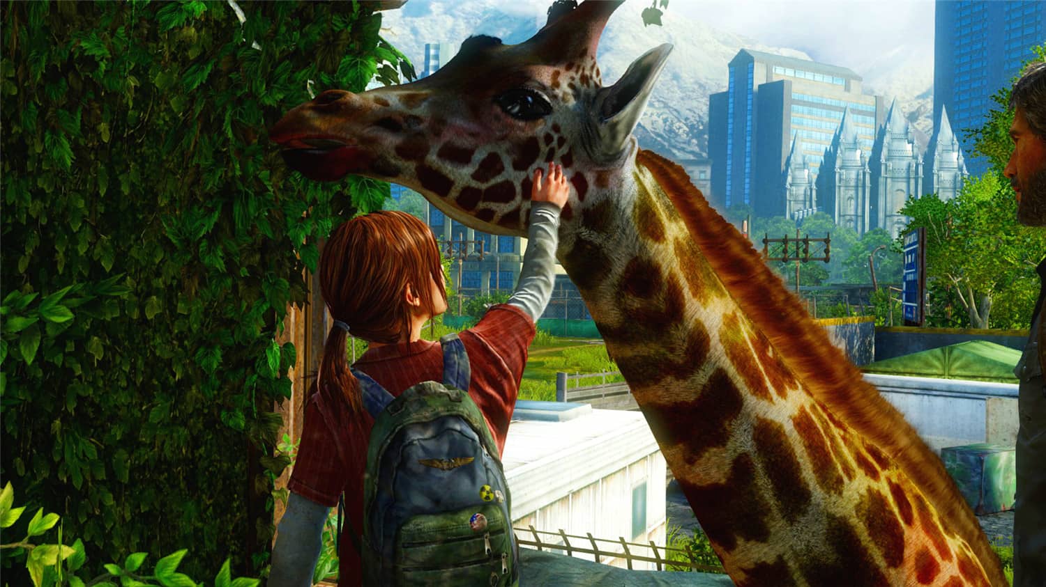 美国末日/最后生还者/The Last of Us 封面