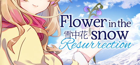 雪中花/Flower in the Snow 封面
